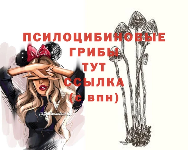 соль ск Нефтегорск